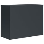 Casa si Gradina - Constructii - Depozitare, transport si protectie - Rafturi, fisete si vestiare - Fiset, antracit, 90x40x110 cm, otel - Infinity.ro