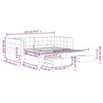 Casa si Gradina - Mobilier - Paturi si accesorii - Paturi - Pat de zi cu extensie si sertare, albastru, 100x200 cm, catifea - Infinity.ro