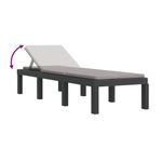 Casa si Gradina - Gradina si terasa - Mobilier exterior - Scaune si sezlonguri gradina - Sezlong cu perne, antracit, PP - Infinity.ro