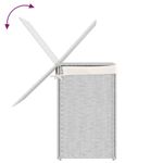 Market - Spalare si intretinere rufe - Uscatoare de rufe si accesorii - Cos de rufe cu 2 sectiuni, alb, 53x35x57 cm, poliratan - Infinity.ro