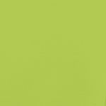 Petshop - Accesorii petshop - Culcusuri si custi - Genti si articole transport - Remorca bicicleta animale companie verde/gri textil oxford/fier - Infinity.ro