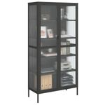 Casa si Gradina - Mobilier - Comode si corpuri - Comode - Dulap inalt, negru, 85x40x180 cm, sticla si otel - Infinity.ro