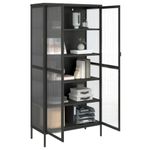 Casa si Gradina - Mobilier - Comode si corpuri - Comode - Dulap inalt, negru, 85x40x180 cm, sticla si otel - Infinity.ro