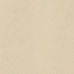 Casa si Gradina - Gradinarit si plante - Unelte gradinarit - Accesorii pentru unelte gradinarit - Huse de plante din fleece cu fermoar 10 buc 70 g/m² 1,55x1,55 m - Infinity.ro