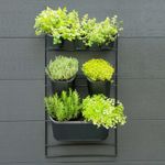 Casa si Gradina - Gradinarit si plante - Plante si ghivece - Ghivece si suporturi - Nature Set jardiniera verticala pentru perete - Infinity.ro
