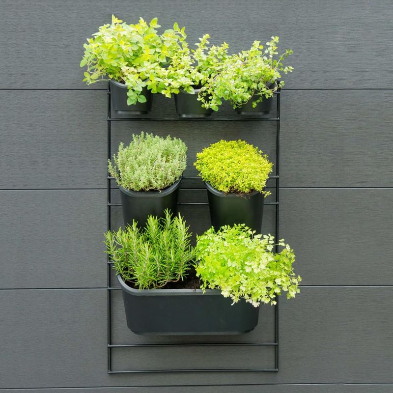 Casa si Gradina - Gradinarit si plante - Plante si ghivece - Ghivece si suporturi - Nature Set jardiniera verticala pentru perete - Infinity.ro