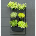 Casa si Gradina - Gradinarit si plante - Plante si ghivece - Ghivece si suporturi - Nature Set jardiniera verticala pentru perete - Infinity.ro