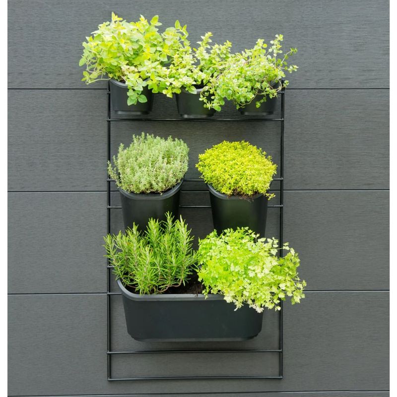 Casa si Gradina - Gradinarit si plante - Plante si ghivece - Ghivece si suporturi - Nature Set jardiniera verticala pentru perete - Infinity.ro
