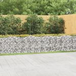 Casa si Gradina - Gradinarit si plante - Plante si ghivece - Ghivece si suporturi - Strat inaltat cu gabion arcuit, 600x50x100 cm, fier galvanizat - Infinity.ro