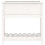 Casa si Gradina - Gradinarit si plante - Plante si ghivece - Ghivece si suporturi - Jardiniera cu raft, alb, 82,5x34,5x81 cm, lemn masiv de pin - Infinity.ro