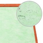 Petshop - Accesorii petshop - Culcusuri si custi - Custi interior si exterior - Cusca de iepuri, 140 x 63 x 120 cm, lemn masiv de brad - Infinity.ro