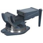 Casa si Gradina - Constructii - Scule electrice si accesorii - Menghine si cleme fixare - Menghina cu inclinare, cu 2 axe, 100 mm - Infinity.ro