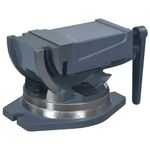 Casa si Gradina - Constructii - Scule electrice si accesorii - Menghine si cleme fixare - Menghina cu inclinare, cu 2 axe, 100 mm - Infinity.ro
