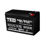 PC, gaming si accesorii - UPS-uri - Accesorii UPS-uri - Acumulator AGM VRLA 12 V 7.1 A dimensiuni 151 mm x 65 m m x h 95 mm F1 TED Battery Expert Holland TED003416 (5) - Infinity.ro
