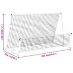 Sport si Outdoor - Sporturi de echipa - Fotbal - Porti fotbal - Poarta de fotbal de ricoseu 2-in-1, 202x104x120 cm, otel - Infinity.ro