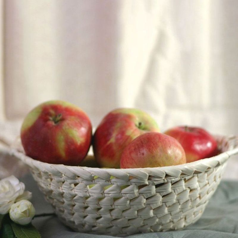 Casa si Gradina - Bucatarie si vesela - Ustensile bucatarie - Cosuri servire - Cos depozitare 21cm, DOMOTTI Palma - Infinity.ro