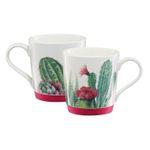 Casa si Gradina - Bucatarie si vesela - Cani si pahare - Cani si cesti - Cana portelan 320 ml, fund silicon roz, AMBITION Cactus - Infinity.ro