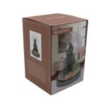 Casa si Gradina - Decoratiuni - Obiecte decorative - Accesorii decorative - Glob decorativ sticla Buddha plante 21cm - Infinity.ro