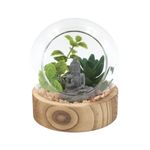 Casa si Gradina - Decoratiuni - Obiecte decorative - Accesorii decorative - Glob decorativ sticla Buddha plante 12cm - Infinity.ro