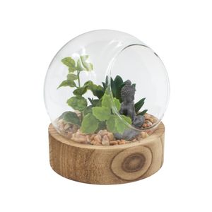 Casa si Gradina - Decoratiuni - Obiecte decorative - Infinity.ro