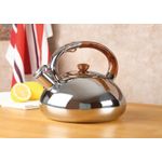 Casa si Gradina - Bucatarie si vesela - Vase pentru gatit - Ceainice si infuzoare - Ceainic din inox cu fluier 2.5 L (3 L), inductie, AMBITION Ferguson - Infinity.ro