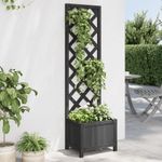 Casa si Gradina - Gradinarit si plante - Plante si ghivece - Ghivece si suporturi - Jardiniera cu spalier, negru, lemn masiv de brad - Infinity.ro