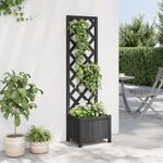Casa si Gradina - Gradinarit si plante - Plante si ghivece - Ghivece si suporturi - Jardiniera cu spalier, negru, lemn masiv de brad - Infinity.ro