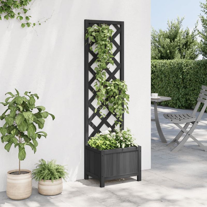 Casa si Gradina - Gradinarit si plante - Plante si ghivece - Ghivece si suporturi - Jardiniera cu spalier, negru, lemn masiv de brad - Infinity.ro