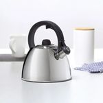 Casa si Gradina - Bucatarie si vesela - Vase pentru gatit - Ceainice si infuzoare - Ceainic din inox cu fluier 2.7 L (3.2 L), inductie, AMBITION Vikos - Infinity.ro