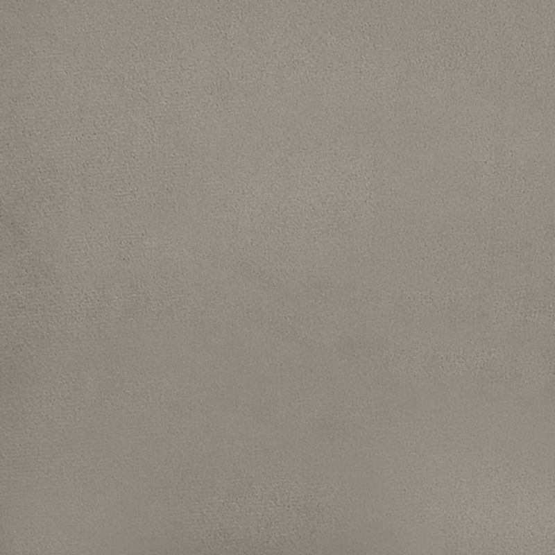 Casa si Gradina - Mobilier - Canapele si coltare - Canapele - Canapea extensibila cu 2 locuri, gri deschis, catifea - Infinity.ro