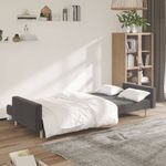Casa si Gradina - Mobilier - Canapele si coltare - Canapele - Canapea extensibila cu 2 locuri, gri inchis, textil - Infinity.ro