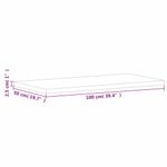Casa si Gradina - Mobilier - Mobilier baie - Blaturi baie - Blat de baie, 100x50x2,5 cm, lemn masiv de fag, natural - Infinity.ro