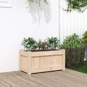 Casa si Gradina - Gradinarit si plante - Plante si ghivece - Infinity.ro