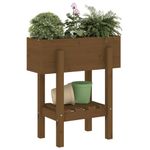 Casa si Gradina - Gradinarit si plante - Plante si ghivece - Ghivece si suporturi - Jardiniera de gradina, maro miere, 62x30x69 cm, lemn masiv pin - Infinity.ro