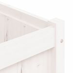 Casa si Gradina - Gradinarit si plante - Plante si ghivece - Ghivece si suporturi - Jardiniera de gradina, pin alb, 150x50x50 cm, lemn masiv de pin - Infinity.ro