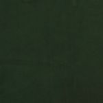 Casa si Gradina - Mobilier - Canapele si coltare - Canapele - Canapea extensibila cu 2 locuri, verde inchis, catifea - Infinity.ro