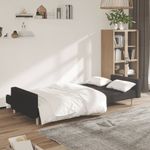 Casa si Gradina - Mobilier - Canapele si coltare - Canapele - Canapea extensibila cu 2 locuri, negru, material textil - Infinity.ro