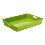 Casa si Gradina - Mobilier - Organizare si depozitare - Cutii depozitare - Tavita documente 4.5 L, verde, ROTHO Living - Infinity.ro