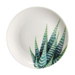 Casa si Gradina - Bucatarie si vesela - Vesela si tacamuri - Farfurii si boluri - Farfurie desert 19 cm, portelan, AMBITION Cactus - Infinity.ro