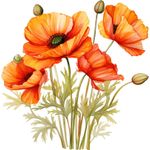 Casa si Gradina - Decoratiuni - Stickere decorative - Sticker decorativ, Buchet de Flori Maci, Portocaliu, 61 cm, 1350STK-4 - Infinity.ro