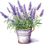 Casa si Gradina - Decoratiuni - Stickere decorative - Sticker decorativ, Ghiveci cu Lavanda, Mov, 60 cm, 1339STK-4 - Infinity.ro