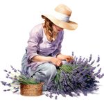 Casa si Gradina - Decoratiuni - Stickere decorative - Sticker decorativ, Lavanda, Mov, 65 cm, 1339STK-1 - Infinity.ro