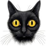 Casa si Gradina - Decoratiuni - Stickere decorative - Sticker decorativ, Pisica, Negru, 62 cm, 1358STK-9 - Infinity.ro