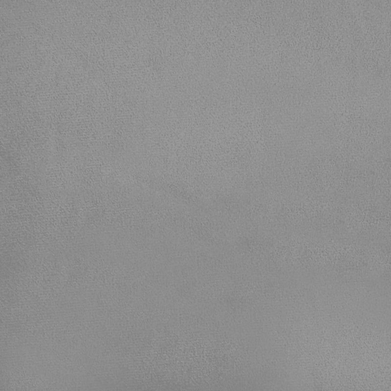 Casa si Gradina - Mobilier - Canapele si coltare - Canapele - Canapea extensibila cu 2 locuri, 2 perne, gri deschis, catifea - Infinity.ro