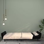Casa si Gradina - Mobilier - Canapele si coltare - Canapele - Canapea extensibila cu 2 locuri, negru, catifea - Infinity.ro