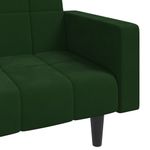 Casa si Gradina - Mobilier - Canapele si coltare - Canapele - Canapea extensibila cu 2 locuri, 2 perne, verde inchis catifea - Infinity.ro