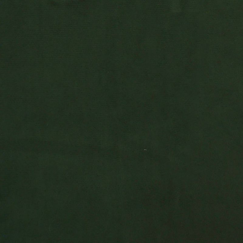 Casa si Gradina - Mobilier - Canapele si coltare - Canapele - Canapea extensibila cu 2 locuri, 2 perne, verde inchis catifea - Infinity.ro