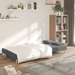 Casa si Gradina - Mobilier - Canapele si coltare - Canapele - Canapea extensibila cu 2 locuri, 2 perne, gri deschis, textil - Infinity.ro