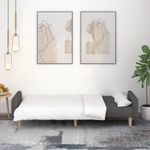 Casa si Gradina - Mobilier - Canapele si coltare - Canapele - Canapea extensibila cu 2 locuri, gri inchis, textil - Infinity.ro