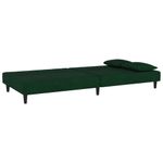 Casa si Gradina - Mobilier - Canapele si coltare - Canapele - Canapea extensibila cu 2 locuri, 2 perne, verde inchis catifea - Infinity.ro